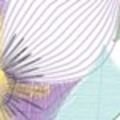 Contour Stitch